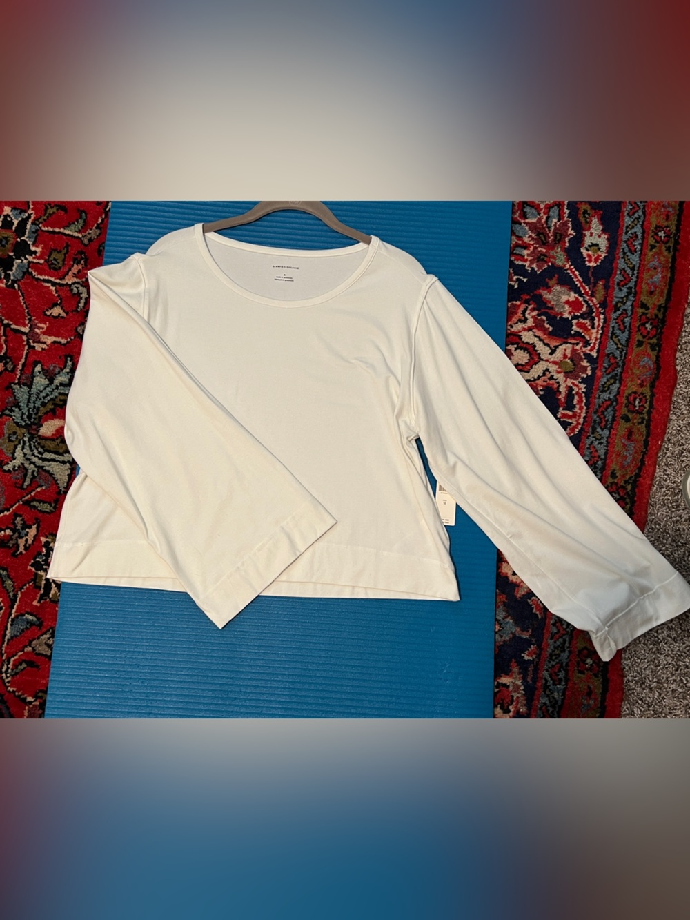 Anthropologie Soft White Scoop Neck Long Sleeve Top NWT SZ M